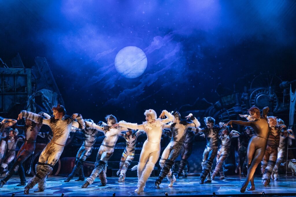 Cats  The John F. Kennedy Center for the Performing Arts